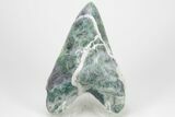 7"+ Realistic Carved Green/Purple Fluorite Megalodon Tooth Replica - Photo 2